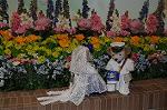 Dcim9152/DSC_1987