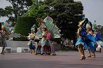 Dcim9159/DSC_2611