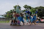 Dcim9159/DSC_2621