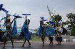 Dcim9159/DSC_2635
