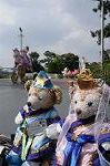 Dcim9159/DSC_2645