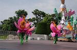Dcim9159/DSC_2656