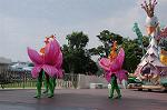 Dcim9159/DSC_2659