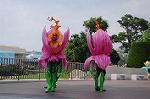 Dcim9159/DSC_2662