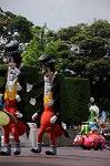 Dcim9159/DSC_2695