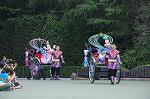 Dcim9161/DSC_2919
