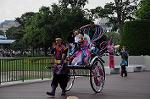 Dcim9162/DSC_3109