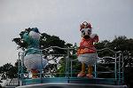 Dcim9162/DSC_3139