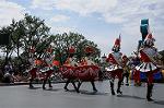 Dcim9184/DSC_5972