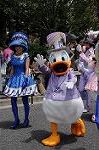 Dcim9206/DSC_9153