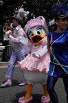 Dcim9206/DSC_9157