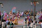 Dcim9208/DSC_9564