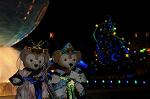 Dcim9214/DSC_0307