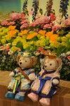 Dcim9214/DSC_0389