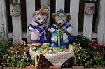 Dcim9218/DSC_0728