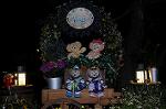 Dcim9224/DSC_1637