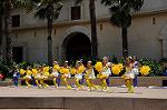 Dcim9229/DSC_2317