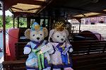 Dcim9231/DSC_2628