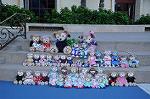 Dcim9234/DSC_3052