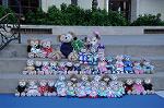 Dcim9234/DSC_3059