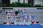 Dcim9234/DSC_3061