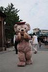 Dcim9246/DSC_4704