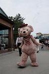 Dcim9246/DSC_4706
