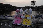 Dcim9250/DSC_5178