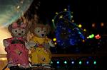 Dcim9252/DSC_5440