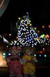 Dcim9252/DSC_5441