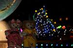 Dcim9252/DSC_5449