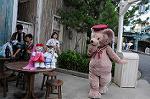 Dcim9264/DSC_7102