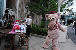 Dcim9264/DSC_7103
