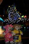 Dcim9268/DSC_7613