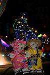 Dcim9268/DSC_7621