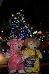 Dcim9268/DSC_7628