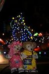 Dcim9268/DSC_7641