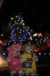 Dcim9268/DSC_7642