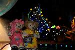 Dcim9268/DSC_7648