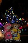 Dcim9268/DSC_7651