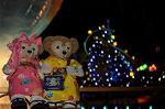 Dcim9268/DSC_7656