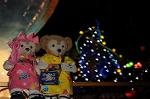 Dcim9268/DSC_7657