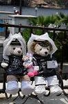Dcim9276/DSC_8387