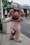 Dcim9283/DSC_9294