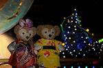 Dcim9287/DSC_9869