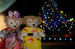 Dcim9287/DSC_9884