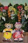 Dcim9287/DSC_9977