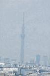 Dcim9307/DSC_6264