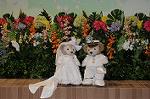 Dcim9315/DSC_3015