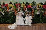Dcim9315/DSC_3022